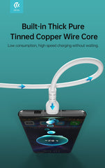 Devia-Web cables Kintone Bulk Type C to Type C Cable Set – 30 PCS | Devia