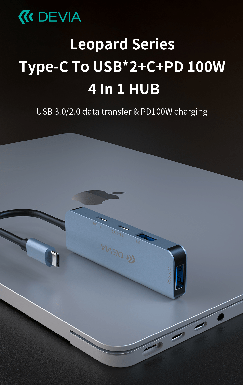 Devia-Web Leopard Series Type-C To USB 2+C+PD