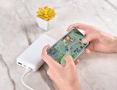 Devia-Web power banks Kintone Power Bank 20000mAh V2 – High Capacity | Devia